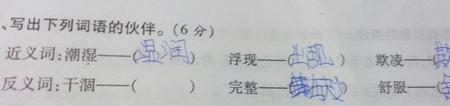 退反义词是什么