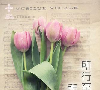 师之所处荆棘生焉什么意思