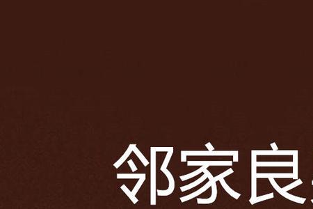 邻家男孩什么意思