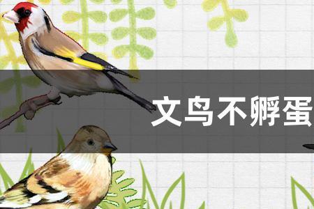 小文鸟出生多少天能睁眼