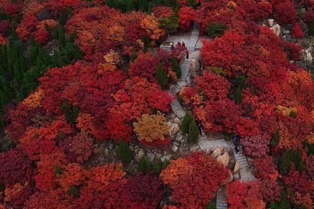 章丘红山翠谷景区免门票吗