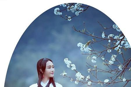 几多风雨几多愁什么意思