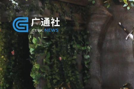 暴风岛创始人
