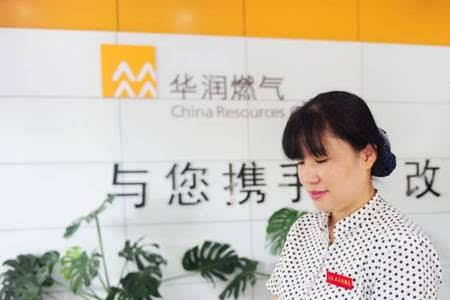 淄博绿川燃气网上缴费流程