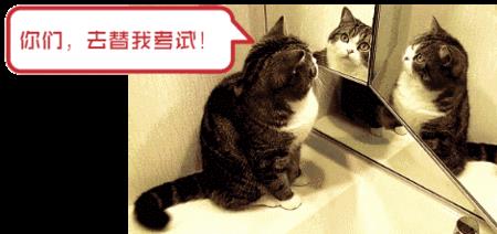 古代为什么不能提前交卷