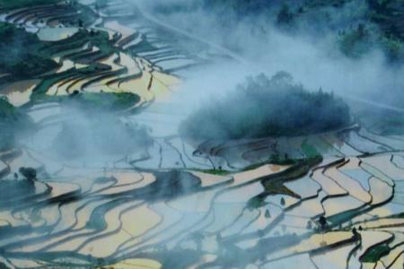 茗岙梯田可以游玩吗