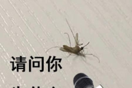咬你表情包什么意思