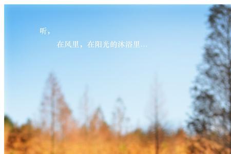 那一年秋天原唱