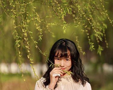 丛生芽是什么样
