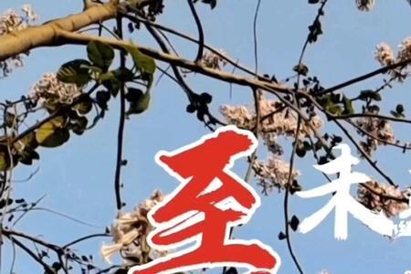旧伤未愈下一句是什么