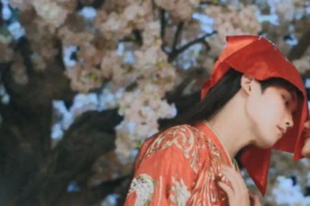 双世宠妃会有多少季