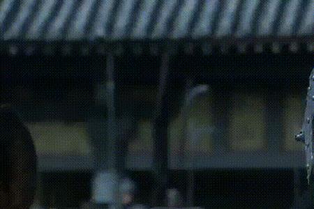 新三国刘度扮演者