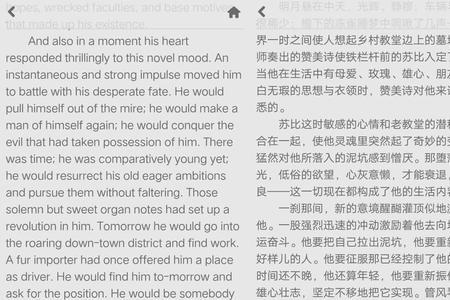 the cop and the anthem故事梗概