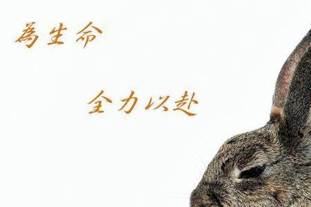 全力以赴和全力应付意思是