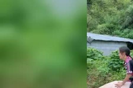 女生骑猪什么意思