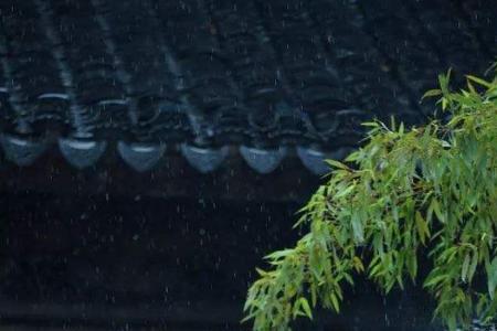 夜雨巴陵诗词
