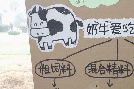 牛奶变成奶牛类似的词语有哪些