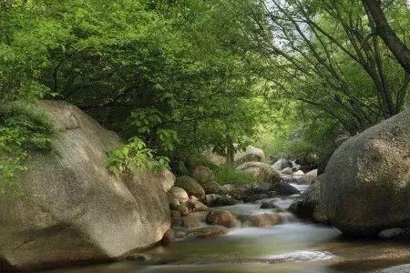 山青与水秀的解题思路