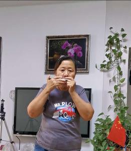 吹出的声音婉转动听下句怎么写