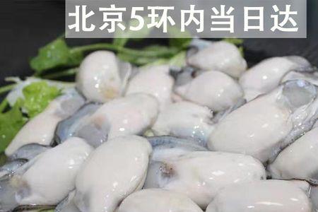 海蛎子肉能冻吗