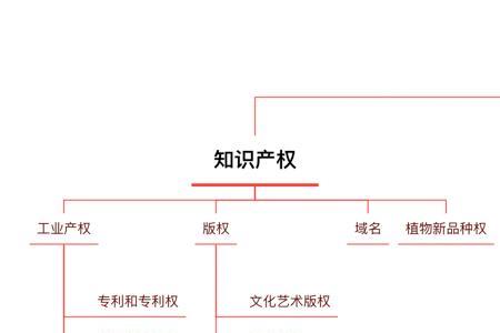 授权性规则与义务性规则的区分