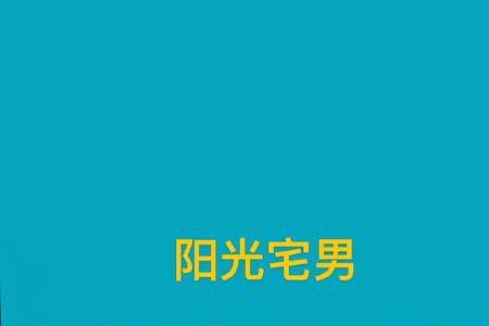和阳光宅男很像的歌