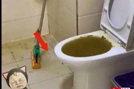 马桶向外喷气怎么回事