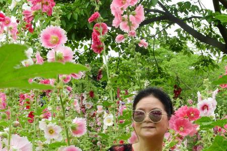 鲜花伴美女的诗句