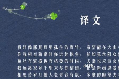 思君最好的一首诗