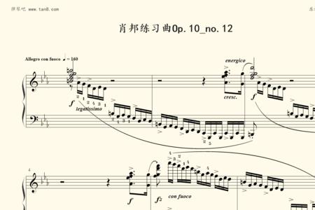 肖邦十首经典钢琴曲