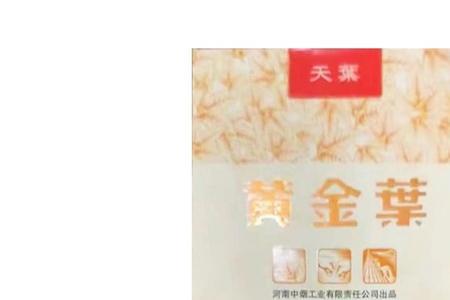 黄金叶大天叶保几年