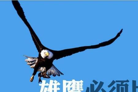 正能量故事分享及感悟