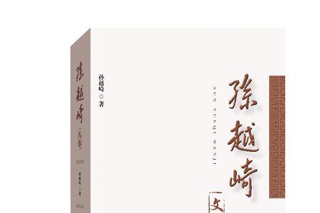 孙越写的书