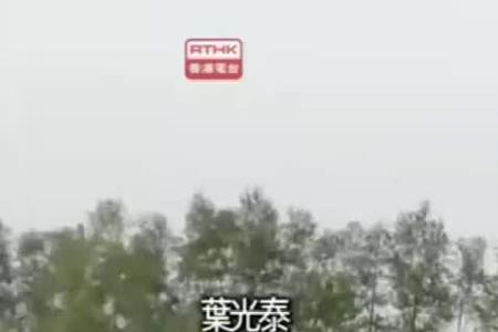 八极拳脱胎于什么兵器