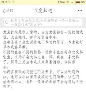 六角龙互相咬是什么原因