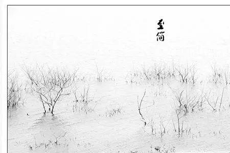 为生态留白意思