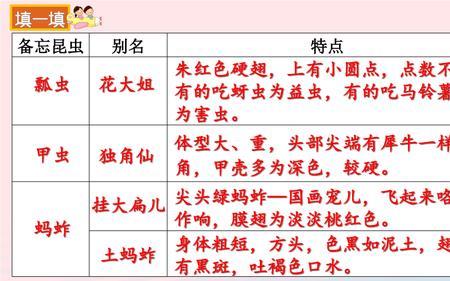 根据昆虫备忘录课文写一个动物