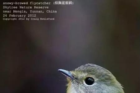 女生说林子大了什么鸟都有