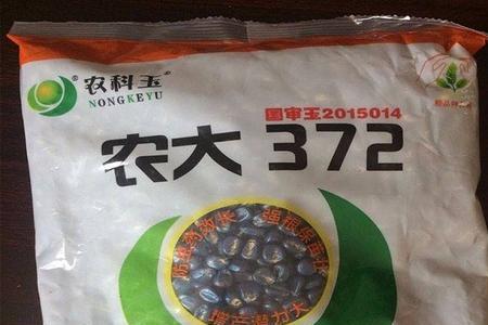 鲁星702夏播产量