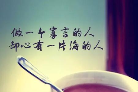 最美的相遇不问过往什么意思
