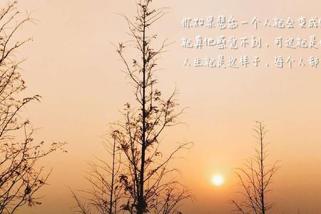 人生风景岁月陪伴是什么意思
