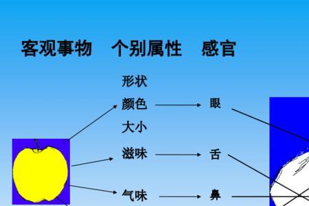 感受性和感受阈限成反比为什么
