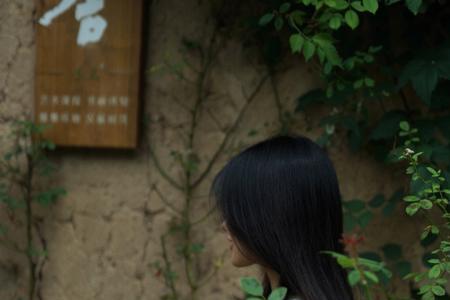 为而无所求什么意思
