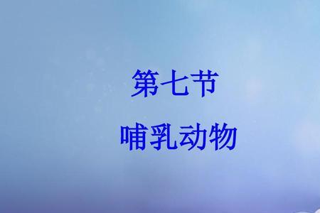 哺乳纲分类表