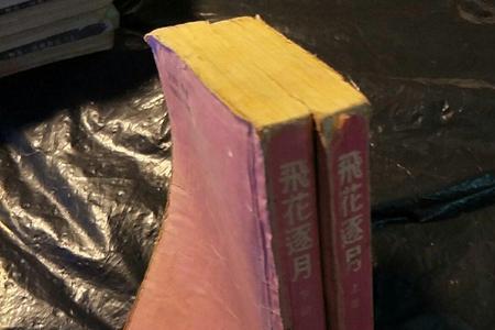 小说飞花逐月武功排名