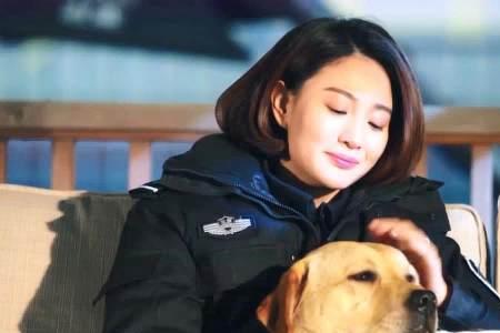 警犬天狼咬姝寒的手后续