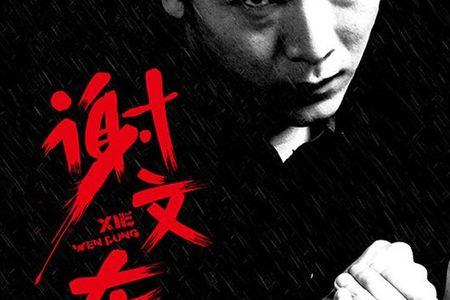 谢文东全集大结局
