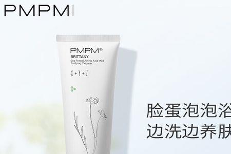 海茴香净肤洁面膏怎么样