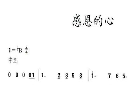 感恩泪歌词