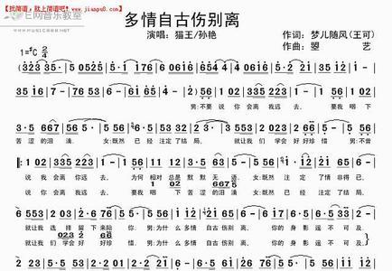 随波随风 歌词